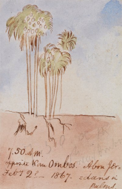 Opposite Kom Ombos Abu Jer by Edward Lear